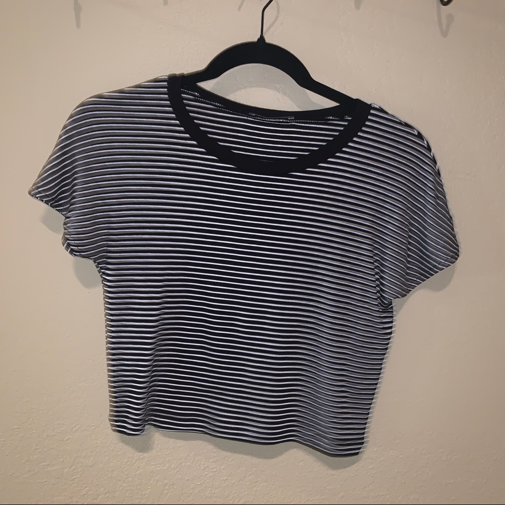 Zara Crop Top